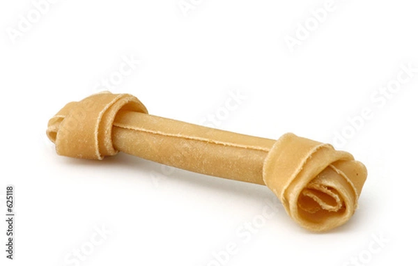 Obraz artificial bone