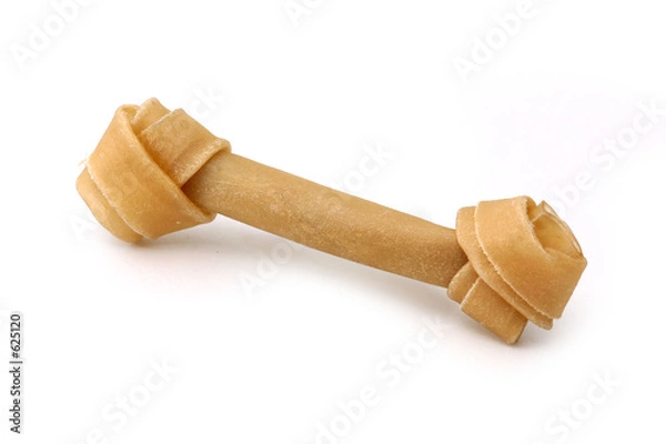 Fototapeta artificial bone