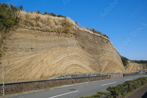 Obraz 伊豆大島のバウムクーヘン断層