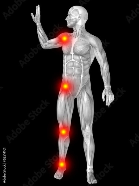 Obraz 3D human man anatomy with articular pain