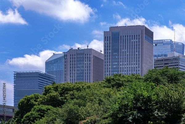 Fototapeta 綺麗な青空と都会のビル