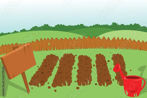 Obraz Vegetable Garden