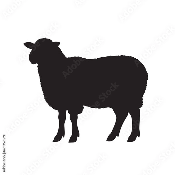 Fototapeta sheep silhouette