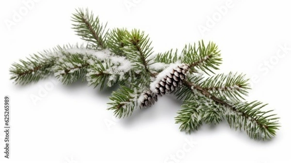 Fototapeta snowy fir branch isolated on white, generative ai