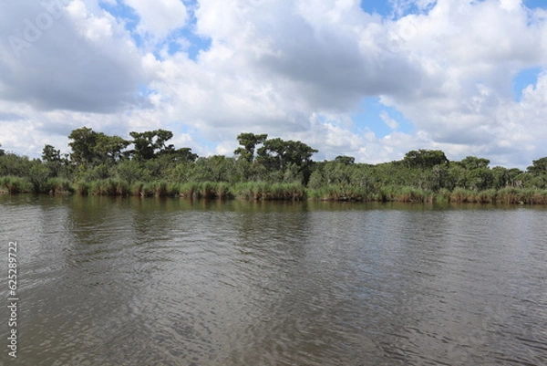 Obraz Tree line on a river