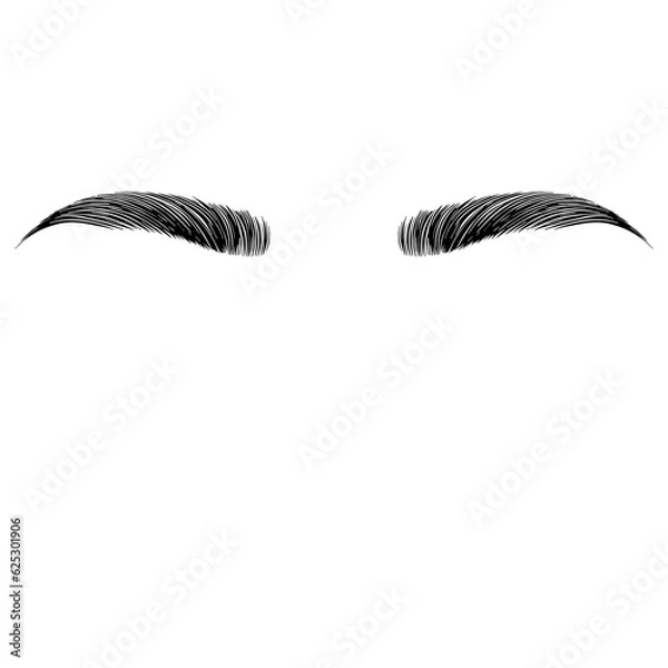Fototapeta Eyebrows realistic brow sketch, cartoon style. Vector black and white illustration.