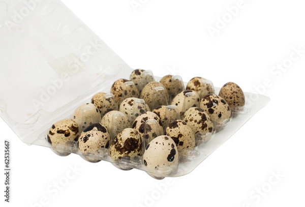 Fototapeta quail eggs