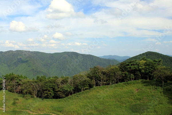 Fototapeta 緑の高原