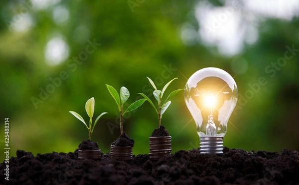 Fototapeta Energy saving light bulb and tree growing on stack of coins on nature background.Savings,account and finance concept.