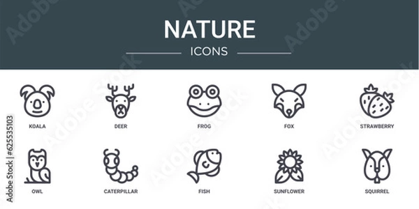 Fototapeta set of 10 outline web nature icons such as koala, deer, frog, fox, strawberry, owl, caterpillar vector icons for report, presentation, diagram, web design, mobile app