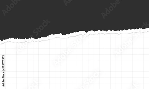 Fototapeta Torn a half sheet of black paper. Graph paper. Grid paper. Vector illustration.