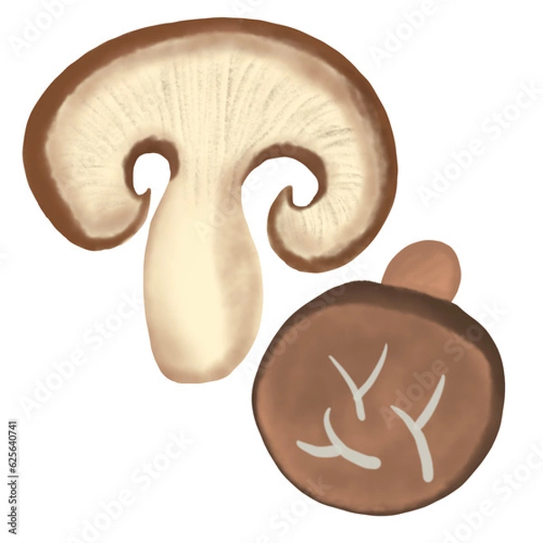 Obraz Shiitake mushrooms