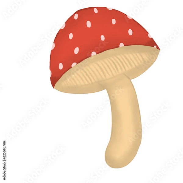 Obraz mushroom
