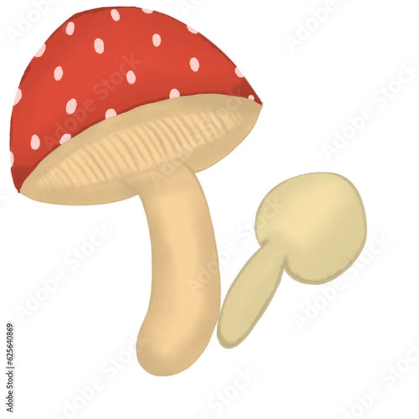 Obraz mushroom