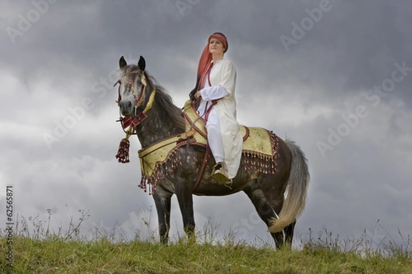 Fototapeta Berber Pferd