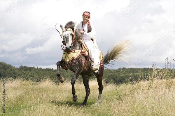 Fototapeta Berber Pferd