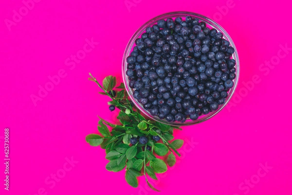 Fototapeta Glass bowl filled with ripe blueberries and a row of lying branches of blueberries with berries on a pink background. Top view