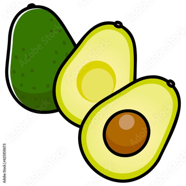 Obraz 太い線で描かれたカットイラスト / カットしたアボカド