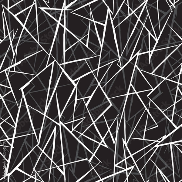 Obraz Geometric art lines pattern. Random chaotic lines abstract monochrome vector pattern illustration.