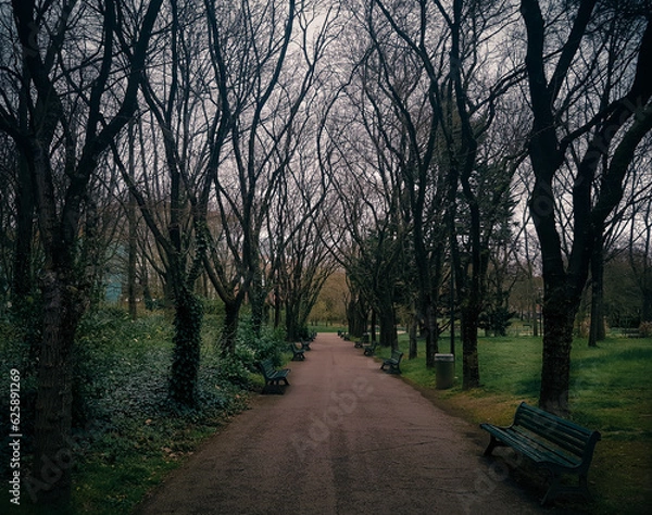 Obraz Beautiful shot of walking trail through a park in Toulouse, France