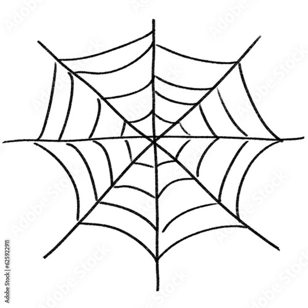 Obraz spider and web