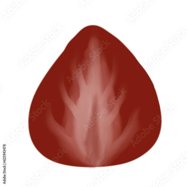 Fototapeta Red strawberries with hand drawing on transparent back gound. Printable wih high quality. 