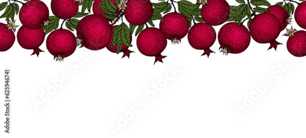 Obraz Pomegranate banner. Pomegranate plant branch with fruits. Vintage Pomegranates border. Hand drawn ink style fruit background. Pomegranate tree, ripe fruit. Rosh hashanah print.Textile, fabric texture