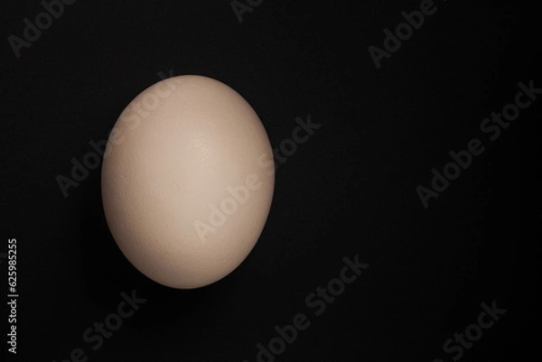 Fototapeta Chicken egg on black background