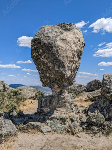 Obraz Stone Head Portrait
