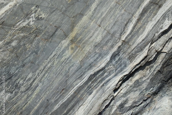 Obraz old wood background