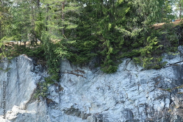 Fototapeta Mountain,rocks, coniferous trees, pine in the reserve, Karelia, Russia