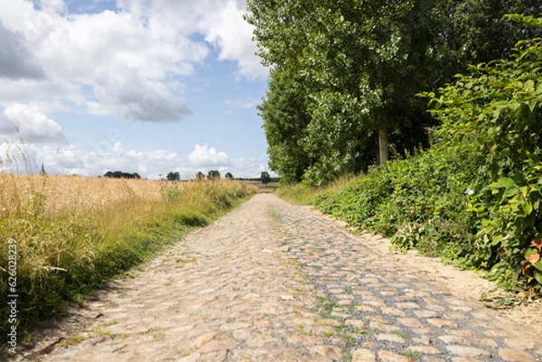 Fototapeta Secteur pavé de Mons En Pévèle emprunté lors de la célèbre course cyclisme Paris - Roubaix dans le nord de la France. 