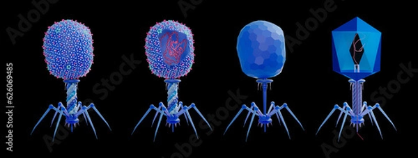 Fototapeta Bacteriophage Escherichia Virus T4 is a double-stranded DNA virus. The virus infects and replicates within bacteria. 3d illustration of the phage virus anatomy with its proteins and DNA. 