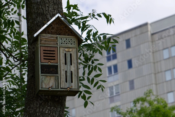 Obraz a small insect hotel on a tree