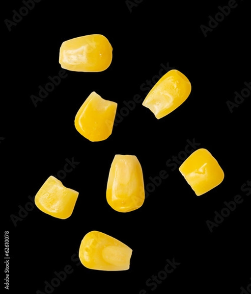 Obraz corn on a black background. macro