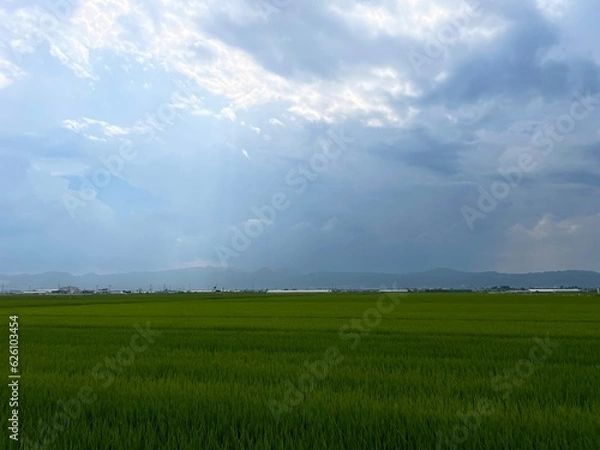 Obraz 210722田んぼ見崎

山形市見崎
田んぼ
雨
空
雲
