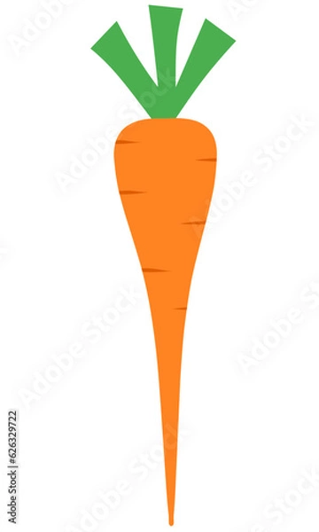 Obraz Carrot Flat Set