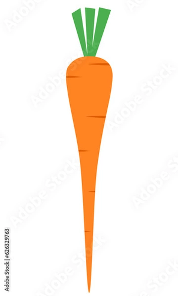 Obraz Carrot Flat Set