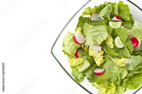 Obraz fresh salad