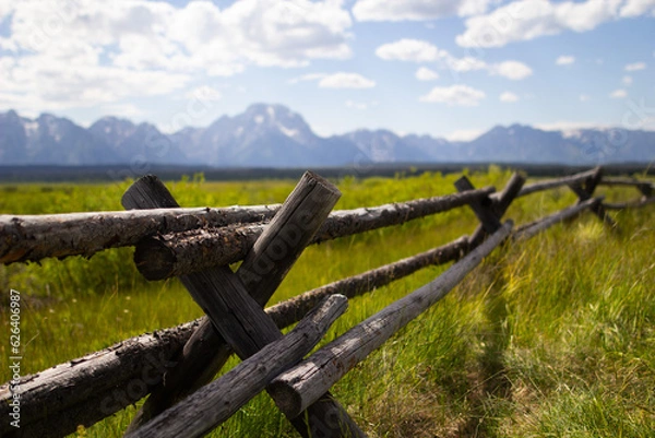 Obraz Teton Range