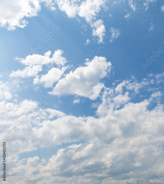 Fototapeta sky replacement looking up at blue sky and sunshine with white puffy clouds in summer