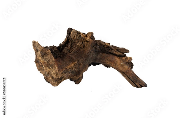 Obraz Artistic dead wood isolated element
