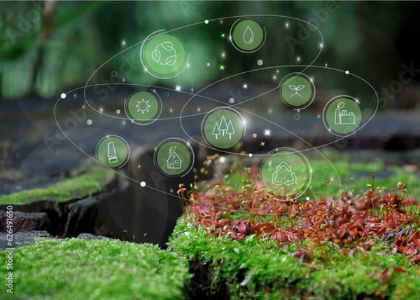 Obraz 森林保全に必要なこと：水、太陽、間伐、環境、循環、植林、バイオマス発電、国産木材の有効活用。温室効果ガス排出削減に向けた代替エネルギー。