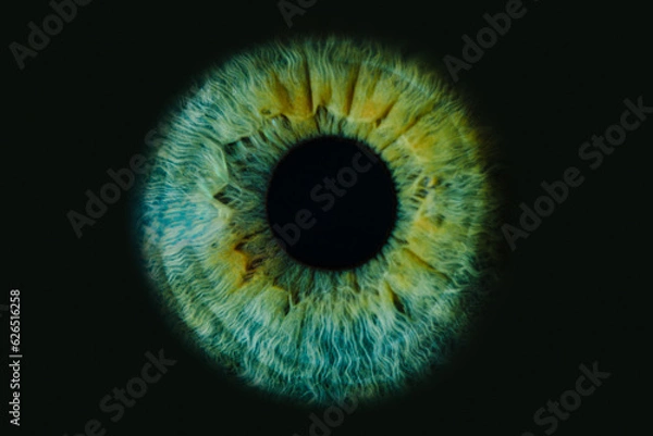 Fototapeta Macro photo of human eye on black background. close-up of green eye