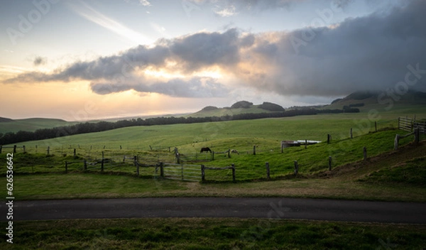 Obraz Parker Ranch, HI