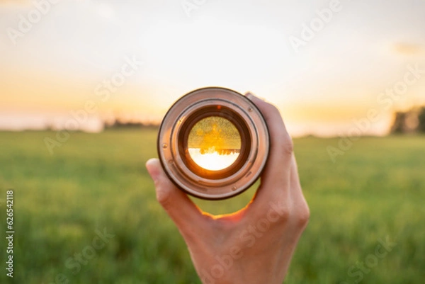 Fototapeta Looking to the green wheat field in the lights of evening sun. Point of view. Selective focus.
