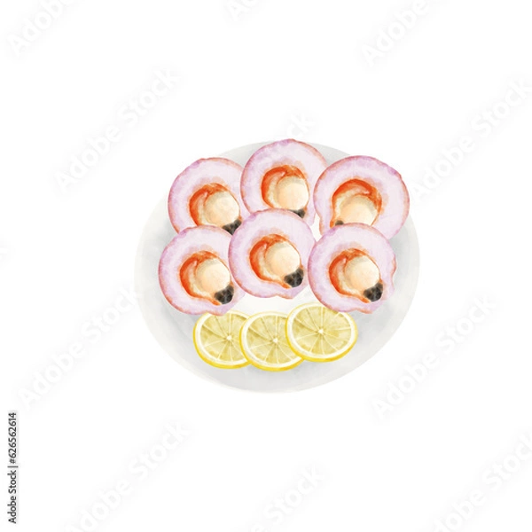 Obraz Seared scallops