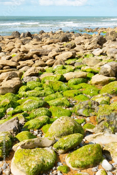 Fototapeta rocks and sea 