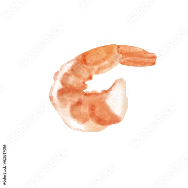 Obraz Cooked shrimp with full shell isolated