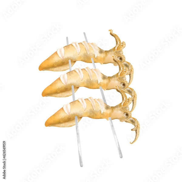 Obraz octopus on a white background